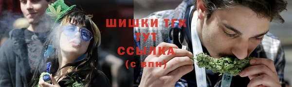 стаф Алексин