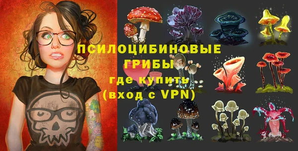 стаф Алексин