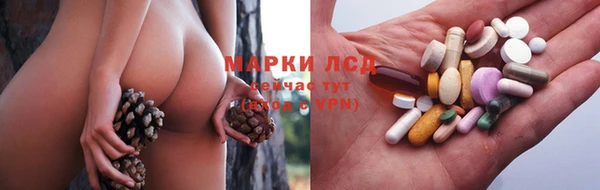 стаф Алексин