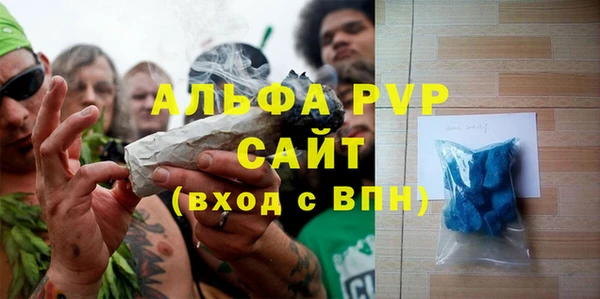 стаф Алексин