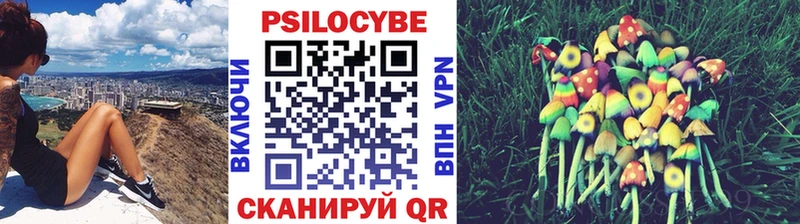 гидра онион  Новая Усмань  Галлюциногенные грибы мухоморы 